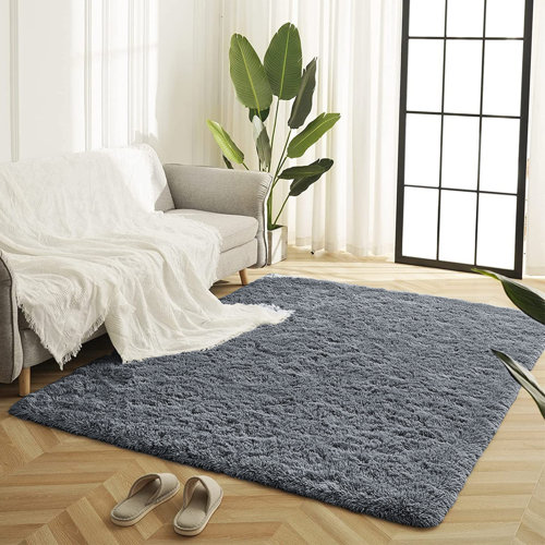 Canora Grey Filey Deep Pile Fluffy Shaggy Area Rug for Indoor/Outdoor